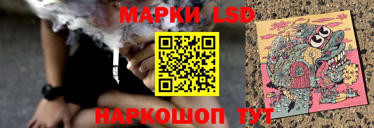 Нижний Новгород  Лсд 25 экстази  Лсд 25 экстази кислота  Вход с VPN  LSD-25 экстази кислота 