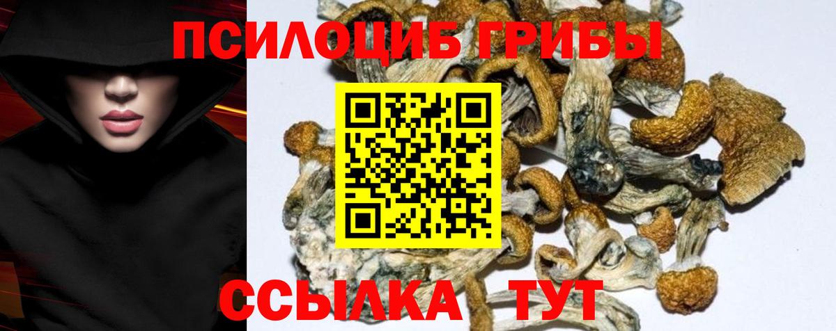 Галлюциногенные грибы GOLDEN TEACHER Нижний Новгород