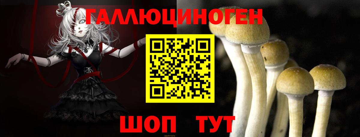 Псилоцибиновые грибы Psilocybe  Вход с VPN  Нижний Новгород 